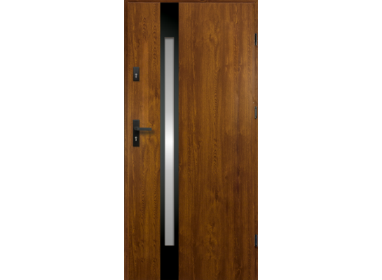Drzwi zewnętrzne TEMIDAS.LAKM.BLACK.Z.DAB.90L/012/01 P55.