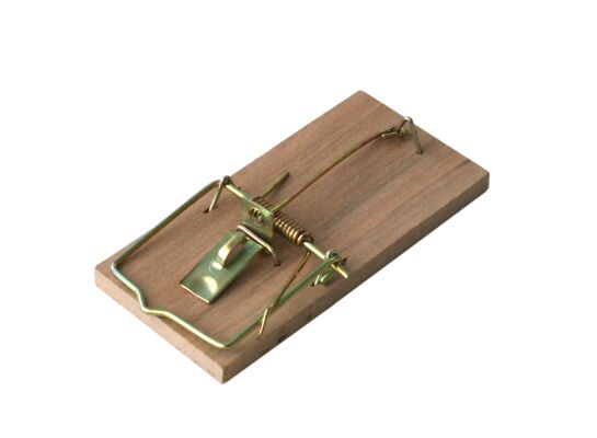 Łapka na myszy drewniana BROS