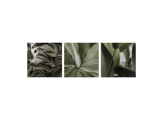 Obraz Canvas Set 3x 32 x 32 ST766 Leaves