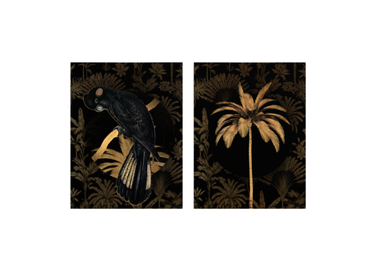 Obraz Canvas Set 2x 32 x 42 ST763 Black parrot