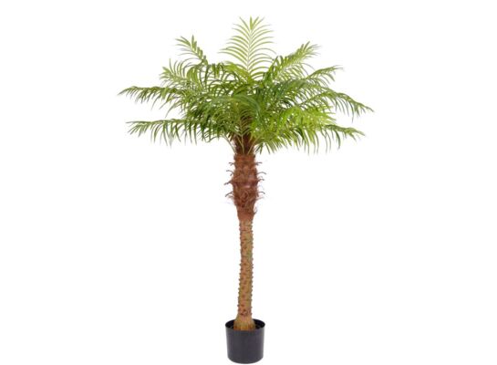 Sztuczny kwiat w doniczce PALMA 200 cm