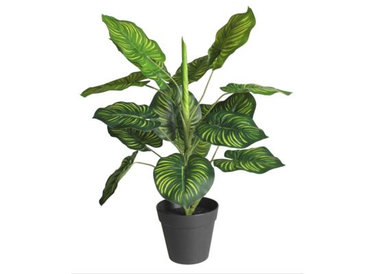 Sztuczny kwiat w doniczce MARANTA 45 cm zielony