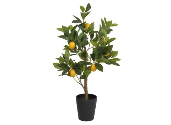Sztuczny kwiat w doniczce LEMON TREE 70 cm