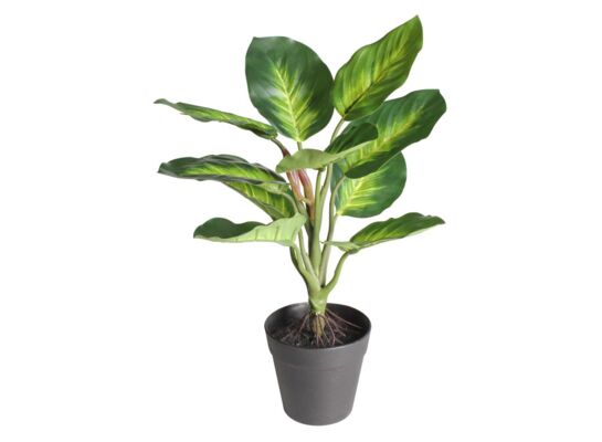 Sztuczna kwiat w doniczce DIFENBACHIA 35 cm zielony