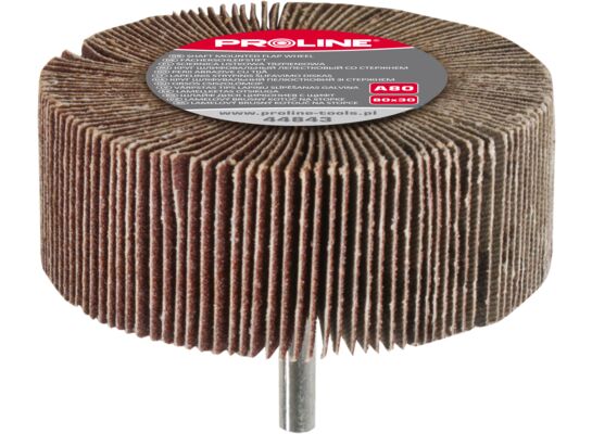 Ściernica listkowa trzpieniowa A100 40 x 20 Proline