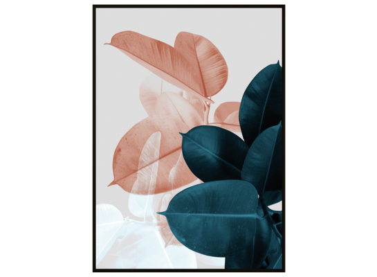 Obraz w czarnej ramie 50 x 70 cm Fikusy