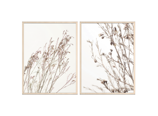 Obrazy w ramie 30 x 40 cm Trawy 2 sztuki