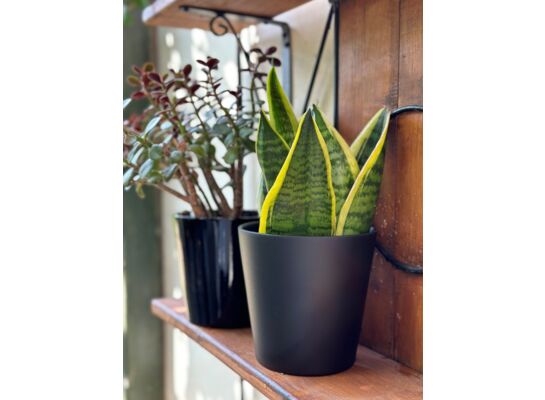 Osłonka ceramiczna czarny mat 13 cm