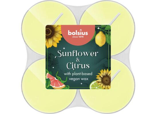 Podgrzewacze zapachowe Sunflower & Citrus 8 sztuk