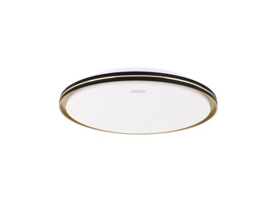 Plafoniera FIESTA LED C 24 W cct strühm