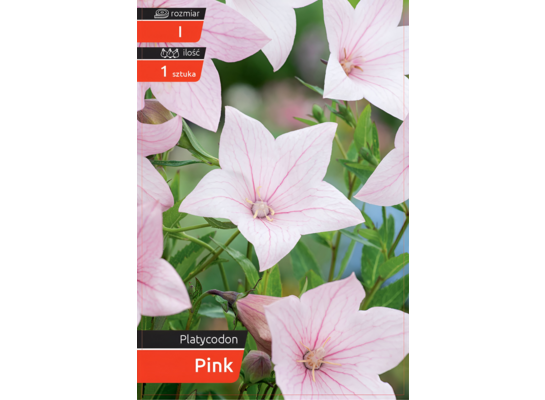 Rozwar Pink kapers I