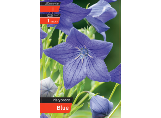 Rozwar Blue kapres I