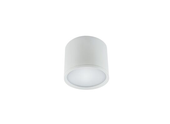 Oprawa sufitowa ROLen LED 3 W  white nW strühm
