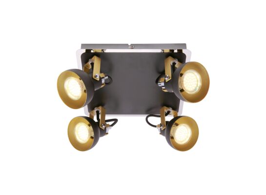 Oprawa ścienno-sufitowa MARIO GU10 4D