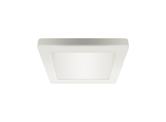 Oprawa sufitowa OLGA LED D 12 W  white cct strühm