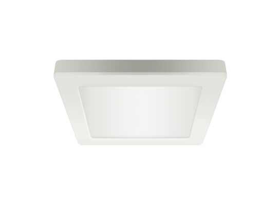 Oprawa sufitowa OLGA LED D 18 W  white cct strühm
