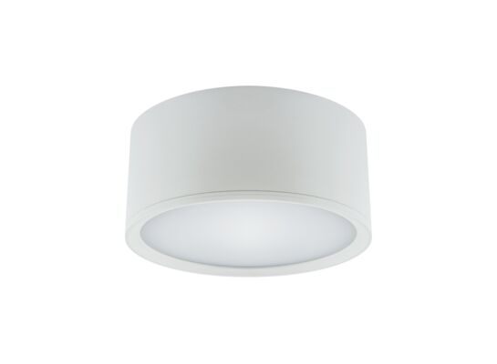 Oprawa sufitowa ROLen LED 15 W  white nW strühm