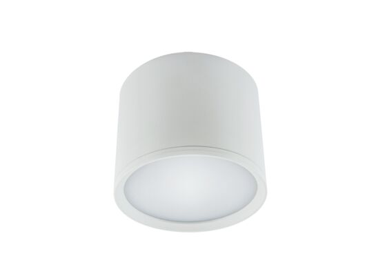 Oprawa sufitowa ROLen LED 10 W  white nW strühm