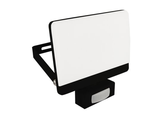 Naświetlacz z czujnikiem ruchu BRYZA LED S 30 W black neutralna biel nW strühm
