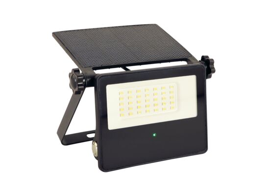 Naświetlacz z czujnikiem ruchu SANTOR LED 10 W zimna biel cW strühm