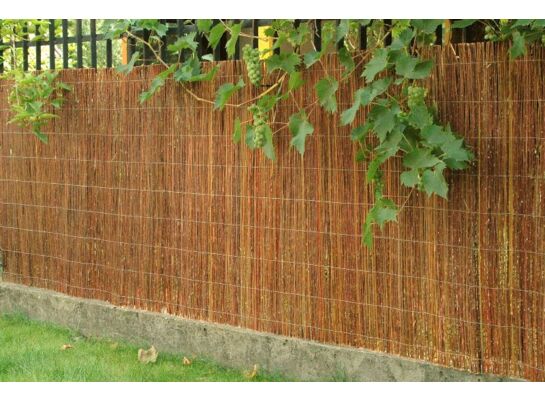 Osłona ogrodzeniowa Willow 100 x 300 cm