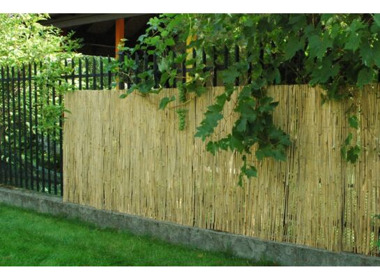 Osłona ogrodzeniowa Reed 150 x 300 cm