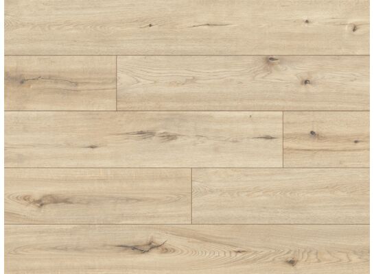 Panel podłogowy casa prima dąb brockville AC5 7 mm WR 1285 x 192 x 7 cm 2,467 m2