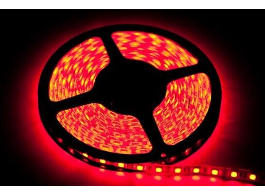 Taśma LED 12 W czerwony IP65