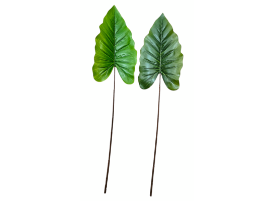 Liść filodendrona 64 cm