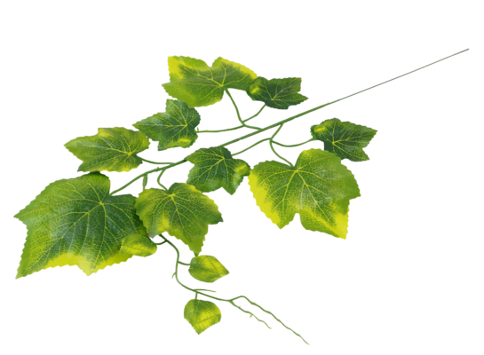 Gałązka liści winorośli 65 cm