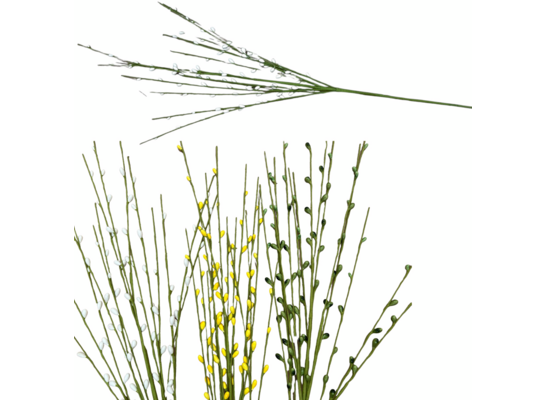 Gałązka wierzby 86 cm mix