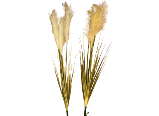 Trawa pampasowa 95 cm