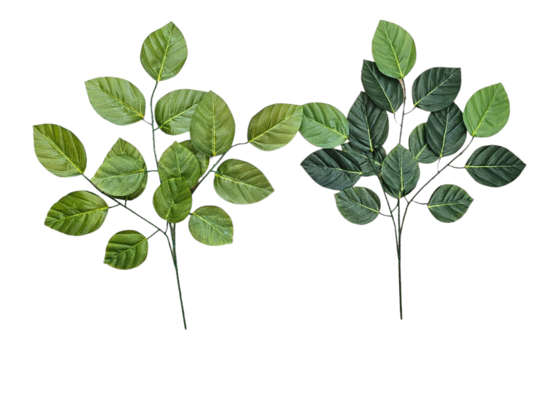 Gałązka liści wiązu holenderskiego 63 cm