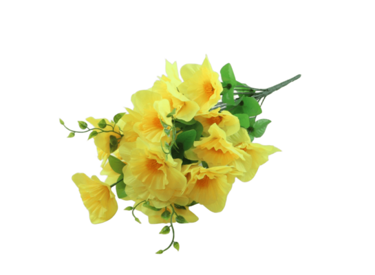 Bukiet żonkili 24 główki 54 cm