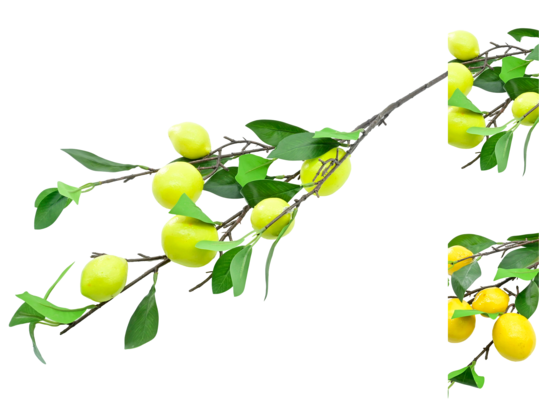 Gałązka cytryny 90 cm mix