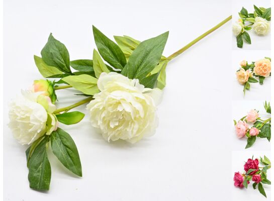 Gałązka peonii 3 kwiaty mix kolorów