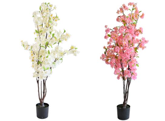 Jabłoń w doniczce 115 cm biały / różowy