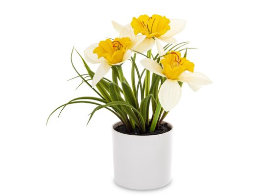 Żonkil w donicy led 28 x 25 cm