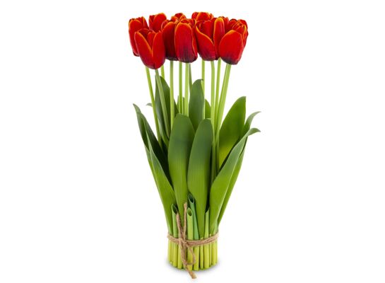 Bukiet tulipanów 38 cm czerwony