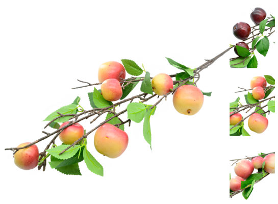 Gałązka jabłko 90 cm mix