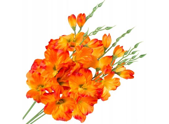 Bukiet mieczyków 60 cm mix