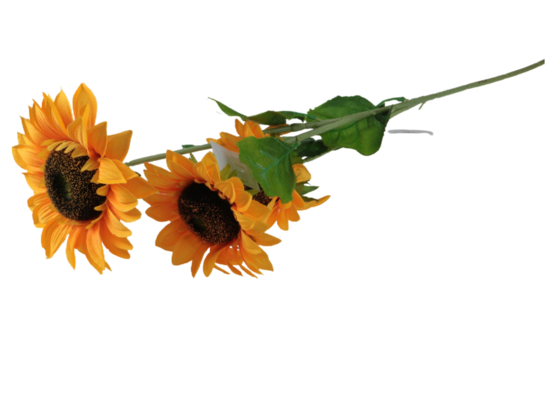 Gałązka słonecznika 94 cm