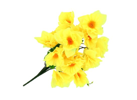 Bukiet żonkili 18 główek 52 cm