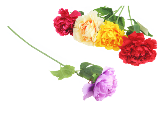 Gałązka piwonii 50 cm mix