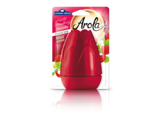 Odświeżacz powietrza w aerozolu „Magiczna Szyszka” 40 ml poziomka General Fresh