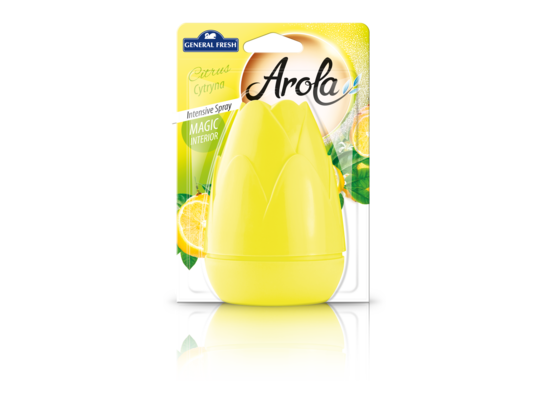 Odświeżacz powietrza w aerozolu „Magiczna Szyszka” 40 ml cytrus General Fresh