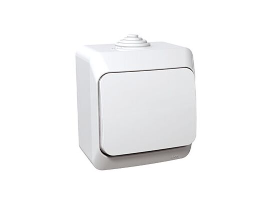 Łącznik 1-biegunowy biały Cedar Plus