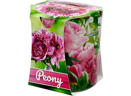 Świeca zapachowa VERONA piwonia