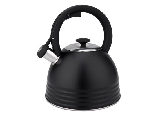 Czajnik nierdzewny Terrano 2,5 l czarny