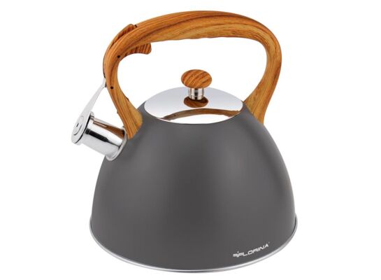 Czajnik nierdzewny Frank 2,5 l szary